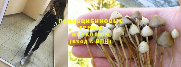 шишки Елизово
