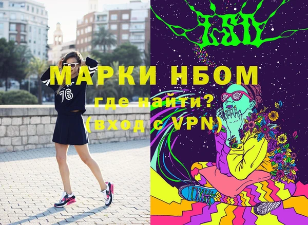шишки Елизово