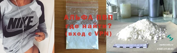шишки Елизово