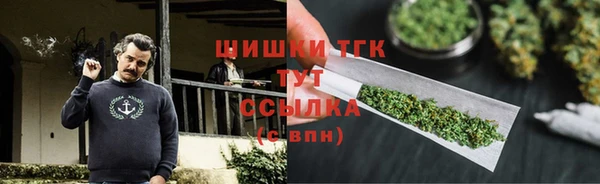 шишки Елизово