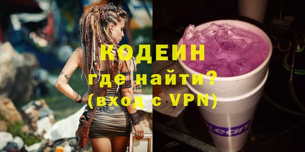 шишки Елизово