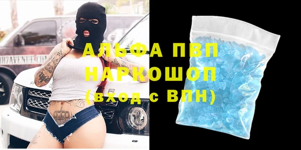 шишки Елизово